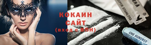 соль ск Алзамай