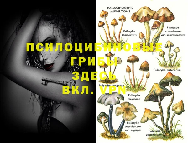 винт Алексин
