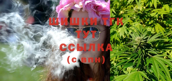 соль ск Алзамай