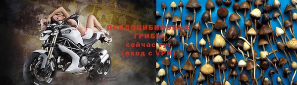 трава Алексеевка