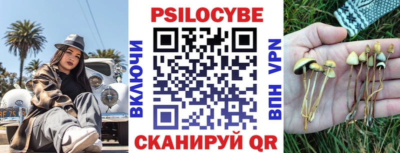 mega сайт  Вышний Волочёк  Псилоцибиновые грибы ЛСД  это Telegram  где найти  